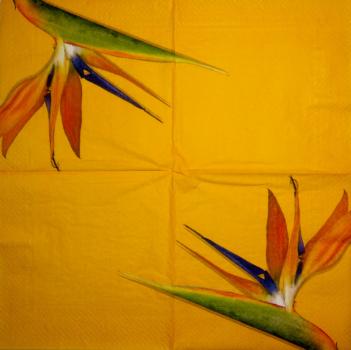 228 Flowers Others - 3 ply - Fasana